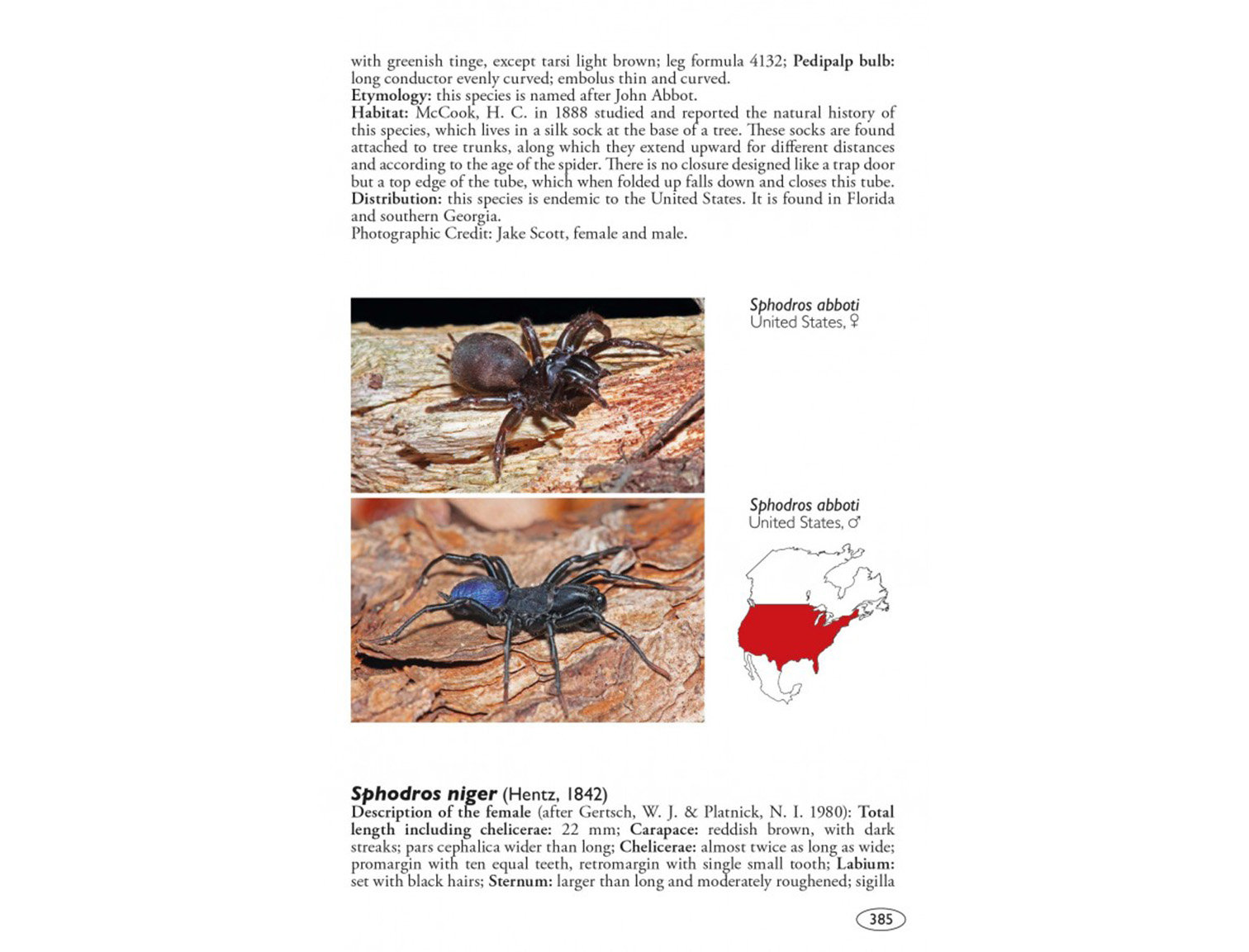 tarantulas-of-the-world-volume-2 (4)